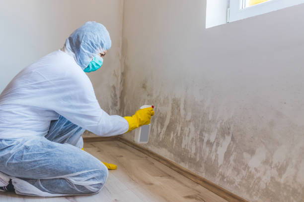 Hvac And Air Duct Mold Remediation inspection of HVAC system in Barnesville