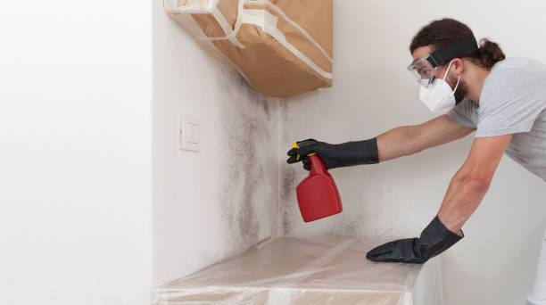 Attic Mold Remediation treatment on roof deck in Barnesville